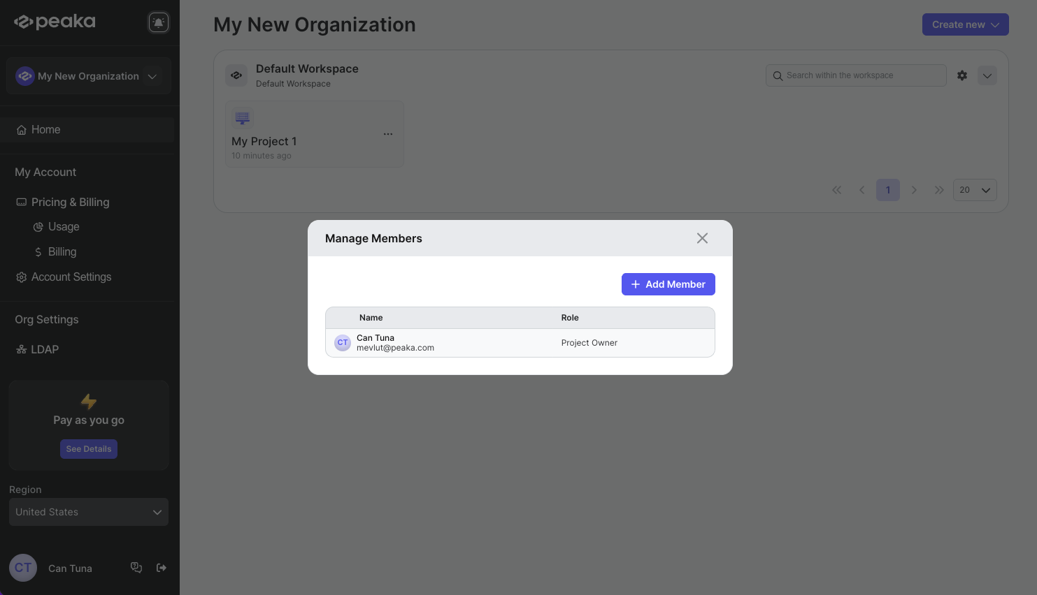 manage members modal