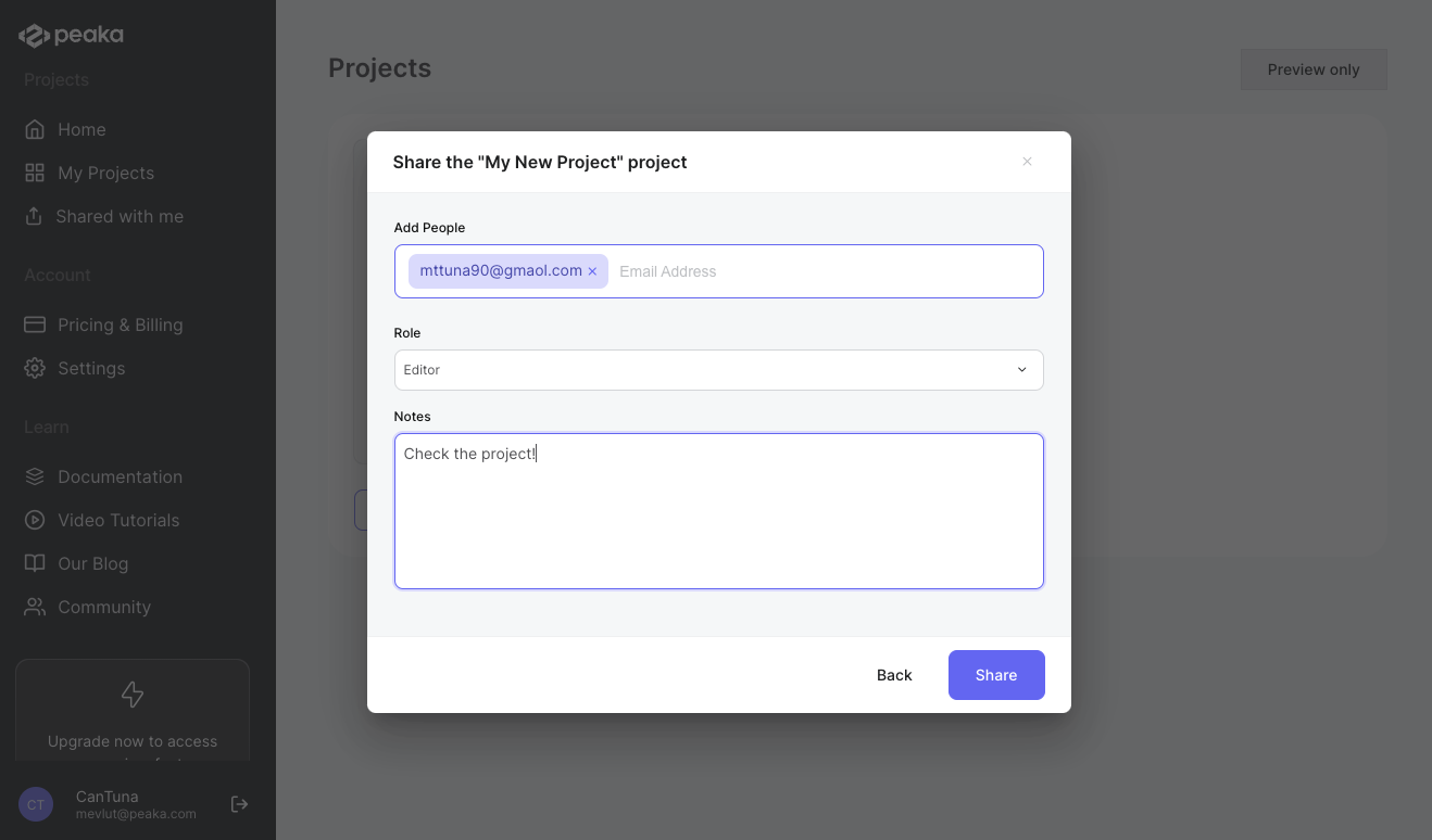 sharing a project modal view